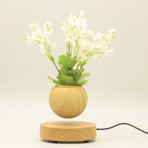 base ronde en bois lévitation magnétique air flottant pot de fleurs pot de fleurs