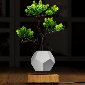 nouvelle base en bois lévitation magnétique fond flyte air bonsaï pot planteur